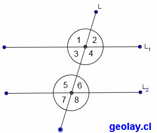 conjugados